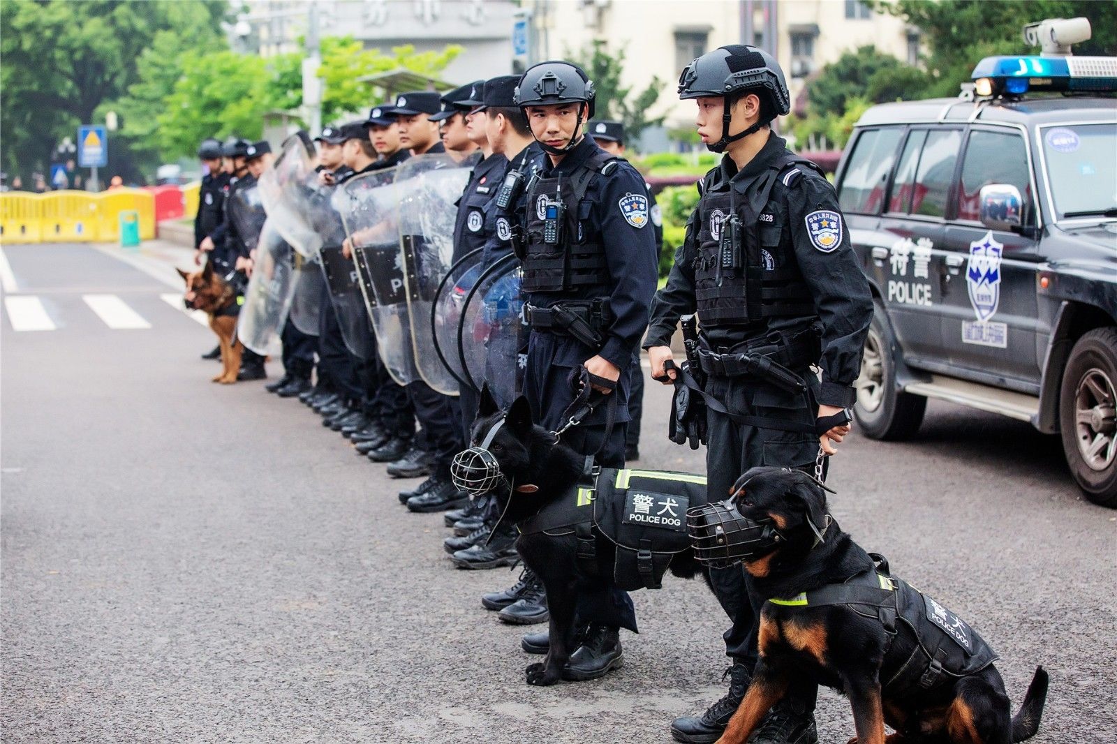 乐动·网站在线官网-乐动（中国）

